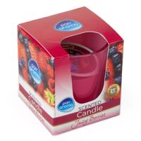 PanAroma vonná svíčka Wild Berries 85g